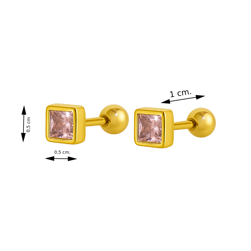 Mindjuše od nerdjajućeg čelika - par