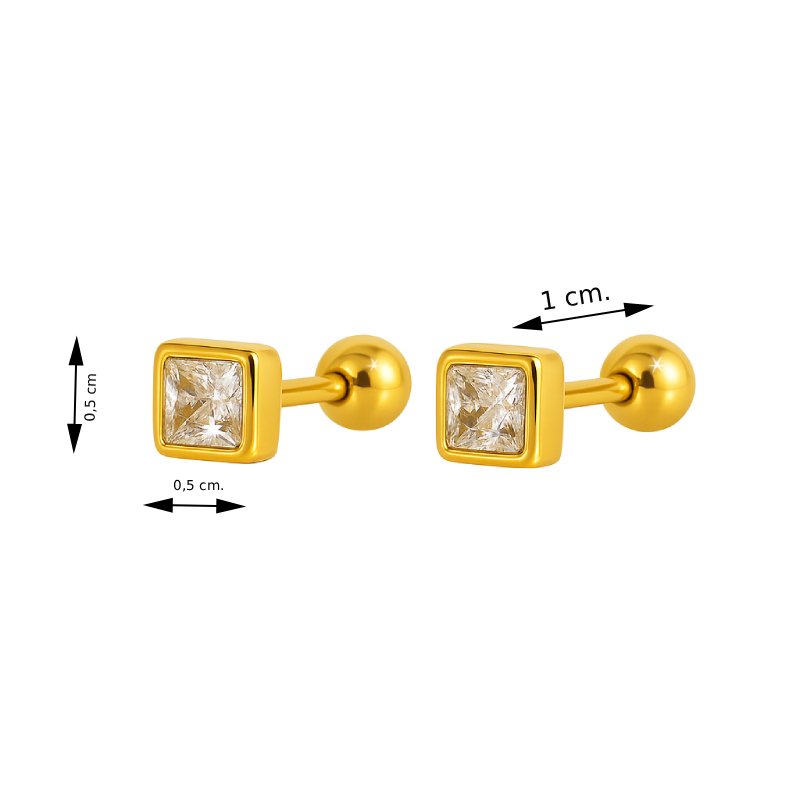 Mindjuše od nerdjajućeg čelika - par